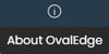 About OvalEdge