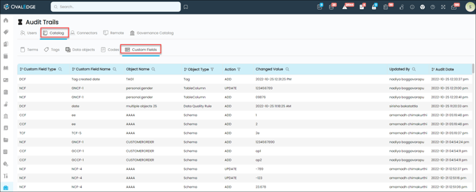 Screenshot 1.2.5- Audit Trail Catalog Custom Fields