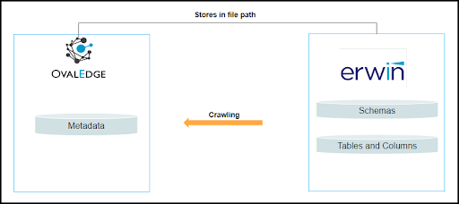 Erwin Data Modeler